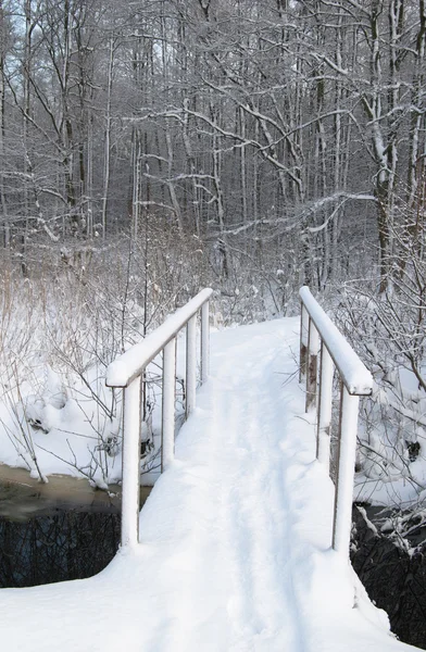 The bridge through a stream in winter park — Stock Photo, Image