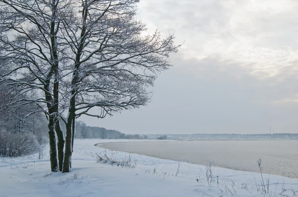 Winterlandschaft am Ufer des Meeres — Stockfoto