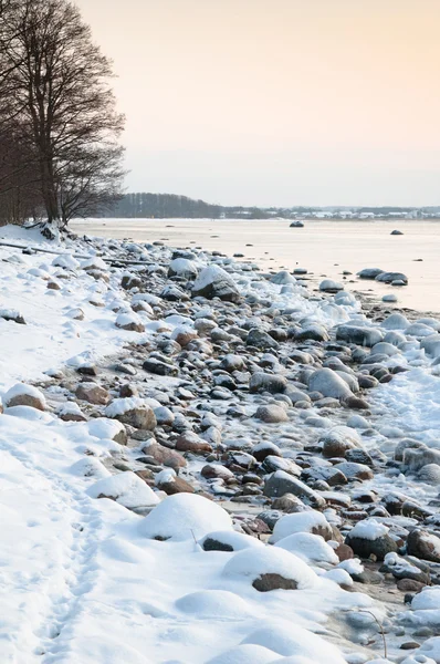 Baltic Sea coast in winter — Stock Photo, Image