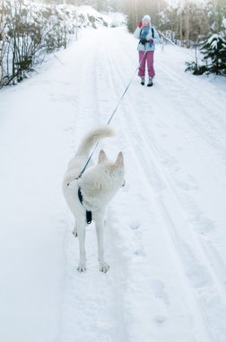 kadın ile köpek kış yürüyüş