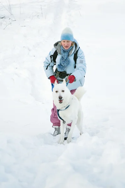 ผู้หญิงที่มีสุนัขในฤดูหนาวเดิน — ภาพถ่ายสต็อก