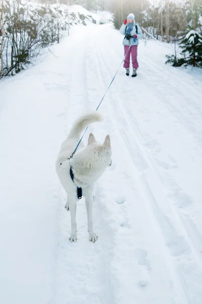 Kvinnan med en hund i vinter på promenad — Stockfoto