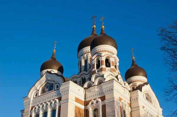 Alexander-Nevsky-Kathedrale in Talllinn — Stockfoto