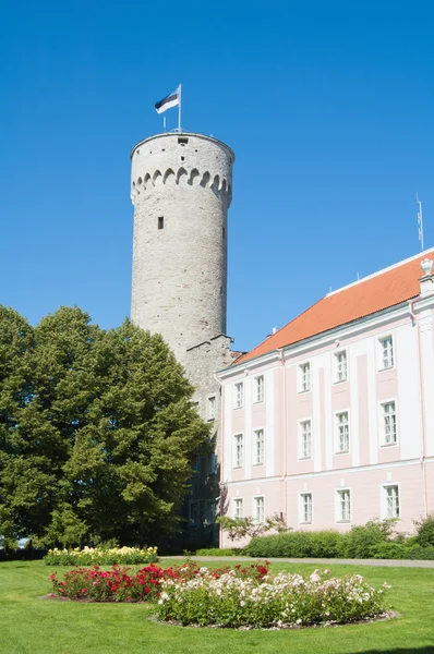 Tower Long Herman, Tallinn, Estonia — Stock Photo, Image