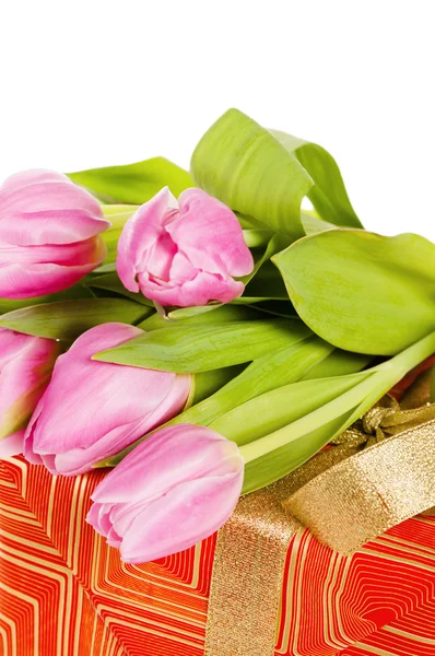 Różowe tulipany i pudełko, na białym tle — Zdjęcie stockowe