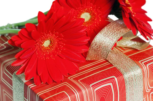 Red gerbera on a box with a gift, a close up — Stock Photo, Image