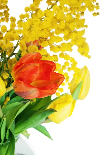 Spring boeket van tulpen en takken van een mimosa, is het isola — Stockfoto