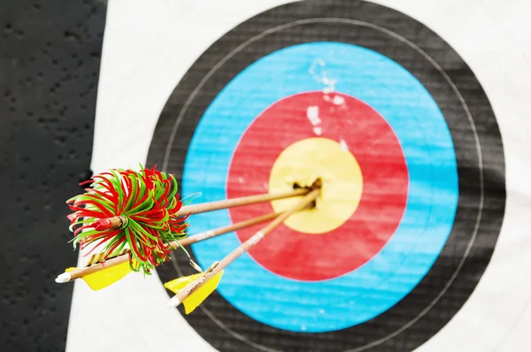 stock image Arrows in the center of the target