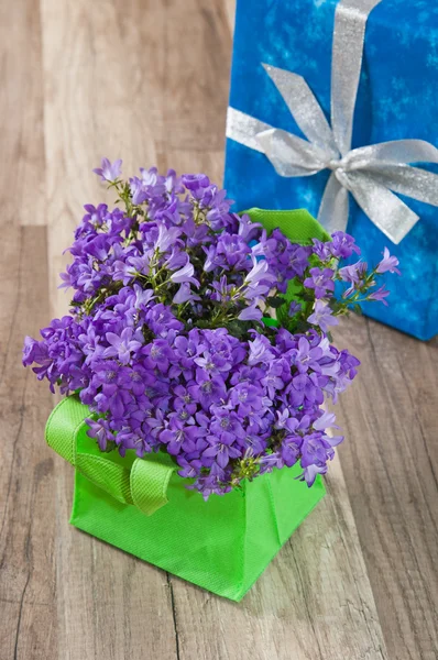 Ramo de primavera campanula azul y caja de regalo, un primer plano — Foto de Stock