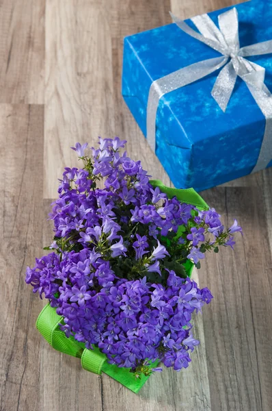 春季花束风铃蓝色和礼品盒，关闭 — 图库照片
