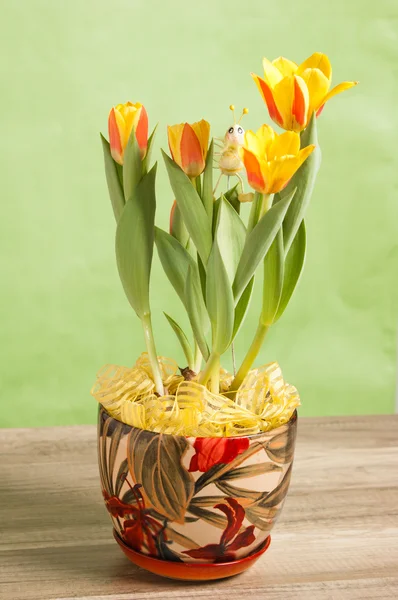Es rojo tulipanes amarillos, un primer plano — Foto de Stock