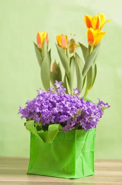 Spring bouquet from tulips and campanula blue, a close up — Stock Photo, Image