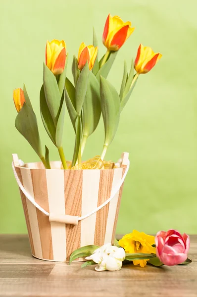 Det är röda gula tulpaner i en hink — Stockfoto