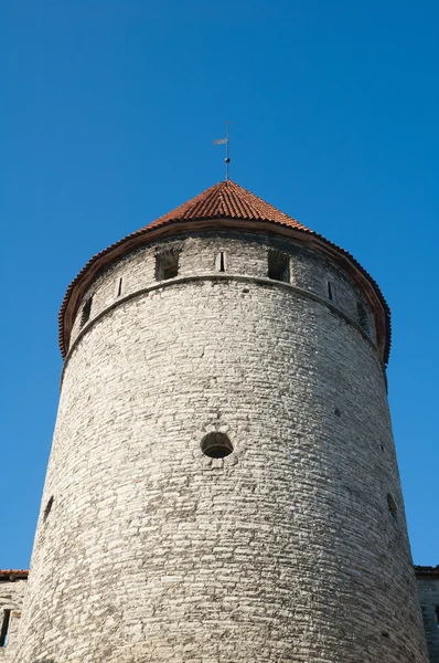 Ancient tower in Tallinn — Stock Photo, Image