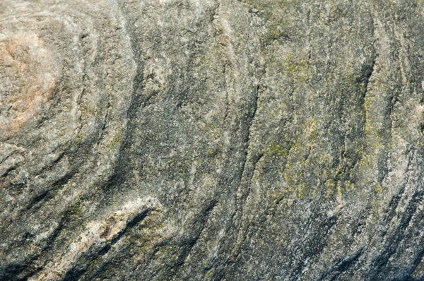 Oberfläche eines Meeressteins, Nahaufnahme — Stockfoto