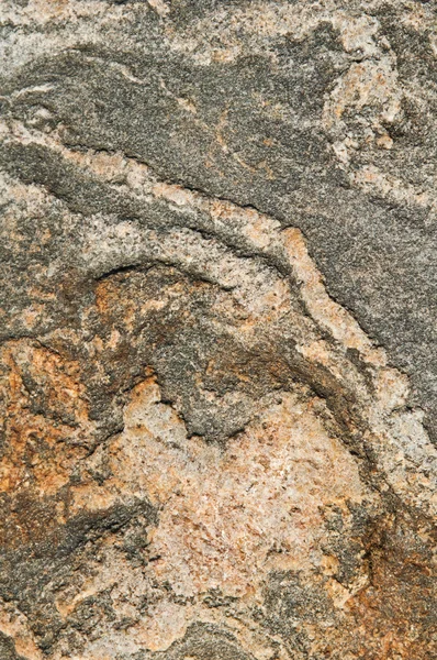 Superfície de uma pedra marinha, de perto — Fotografia de Stock