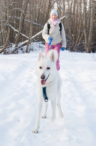 有一只狗在冬天在步行中的女人 — 图库照片