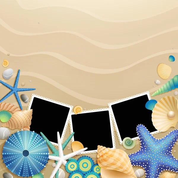 Imágenes, conchas y estrellas de mar sobre arena — Vector de stock