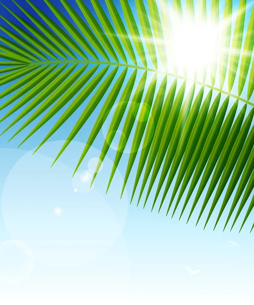 Folha de palma no céu azul e raios de sol —  Vetores de Stock
