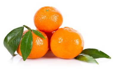 Mandarine fruits clipart