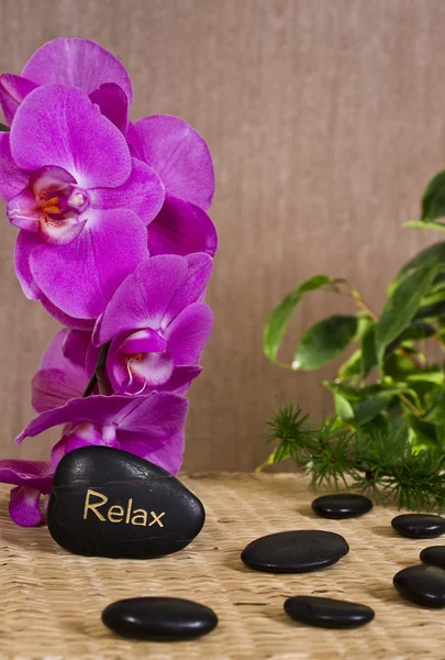 Relax Spa Concept Royalty Free Stock Images