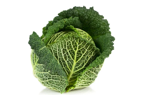 Cabbage Stock Photo