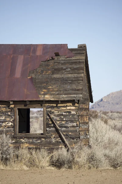 Old abandoned shack — Stock Photo, Image