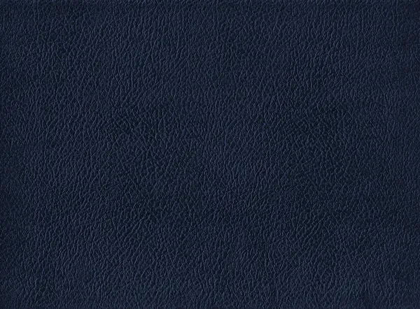 XXXL Textura de couro de alta qualidade . — Fotografia de Stock