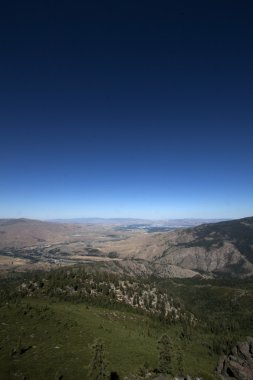 dağ tarafı çam ağaçları