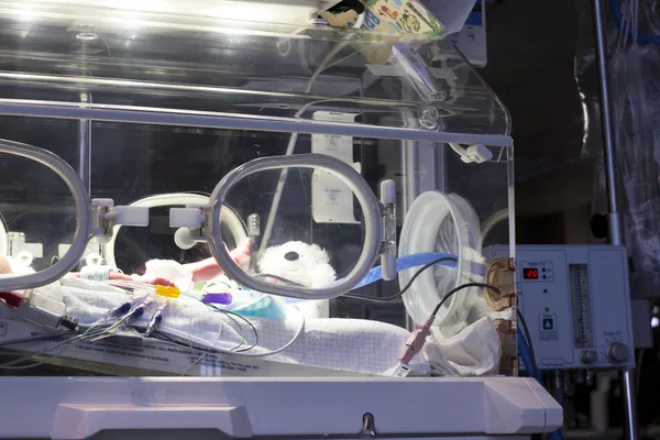 Dziecko isolete inkubator — Zdjęcie stockowe