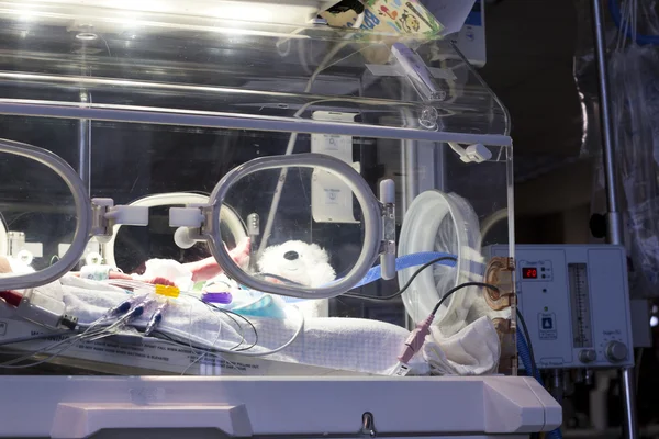 Incubadora de bebé isolete Fotos de stock libres de derechos