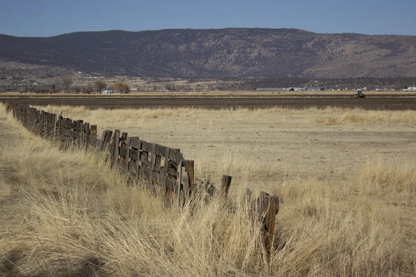 En gammal staket på en western ranch — Stockfoto