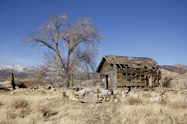 Gamla övergivna delapitating shack — Stockfoto