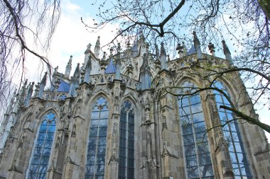 Katedralde den bosch. Hollanda