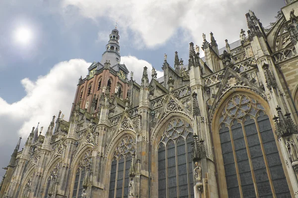 Den Bosch katedrális. Hollandia — Stock Fotó