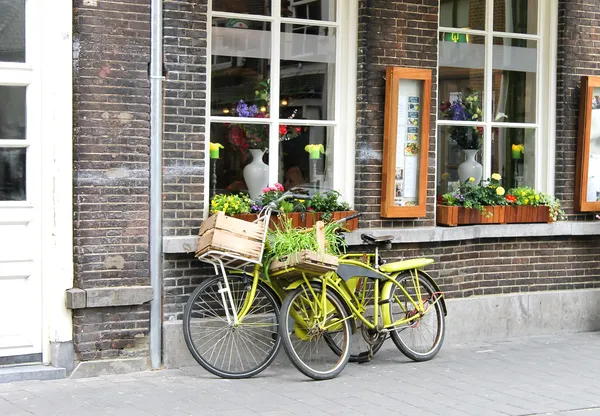 Due biciclette vicino al negozio. Den Bosch. Paesi Bassi — Foto Stock