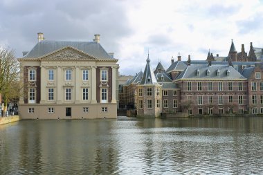 den haag, Hollanda Binnenhof sarayda. Hollandalı parlament boğa