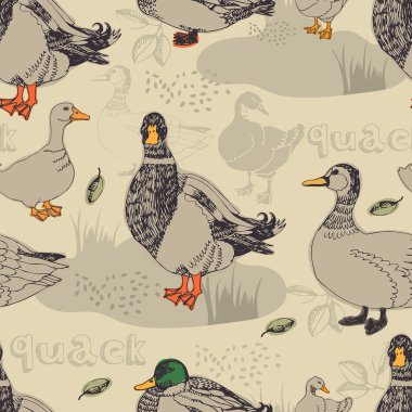 Duck background clipart