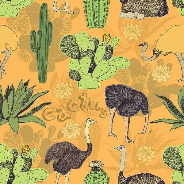 Kaktus und Strauß Hintergrund — Stockvektor