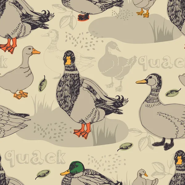 Duck background — Stock Vector
