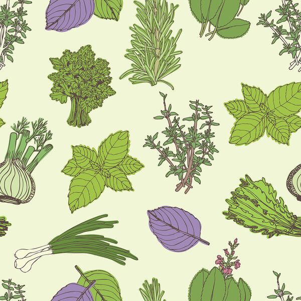 Herbs seamless pattern