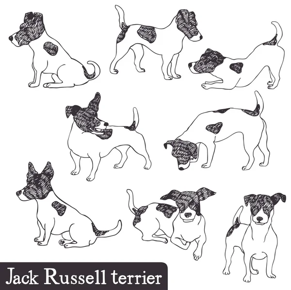 Jack russell terrier conjunto — Vetor de Stock