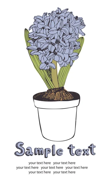 Spring hyacinth card — Stock Vector