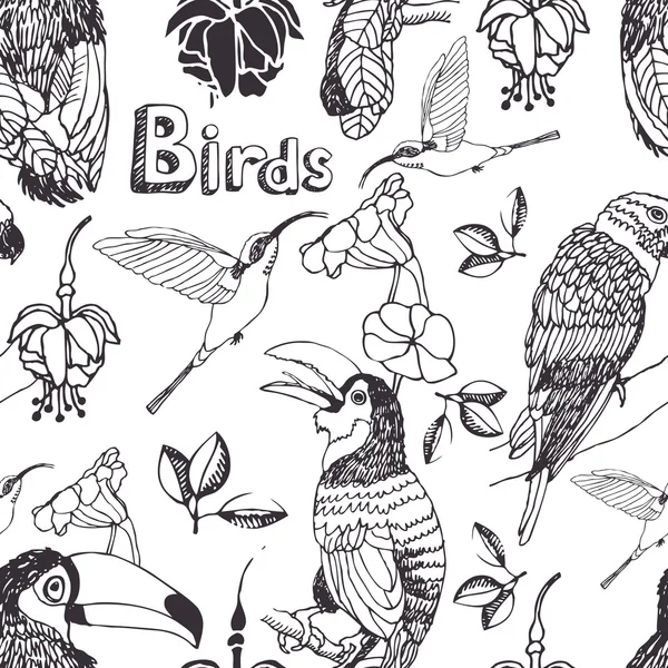 熱帯の鳥の背景 — ストックベクタ