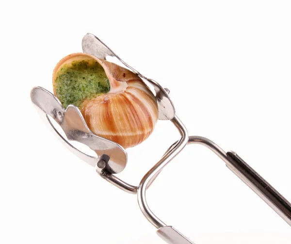 Snail with butter and parsley — Stock Photo, Image