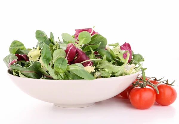 Izole taze salata — Stok fotoğraf