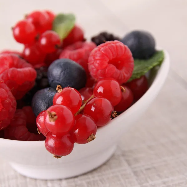 Ассортимент свежих ягод — стоковое фото