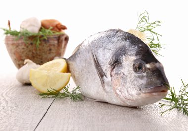 ham çipura