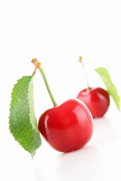 Isolerade cherry — Stockfoto