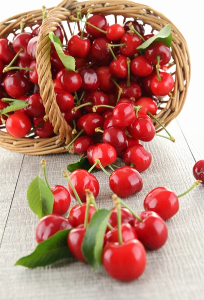 Stock image Cherry